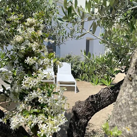Le Agavi Luxory Surfhouse Apartmán